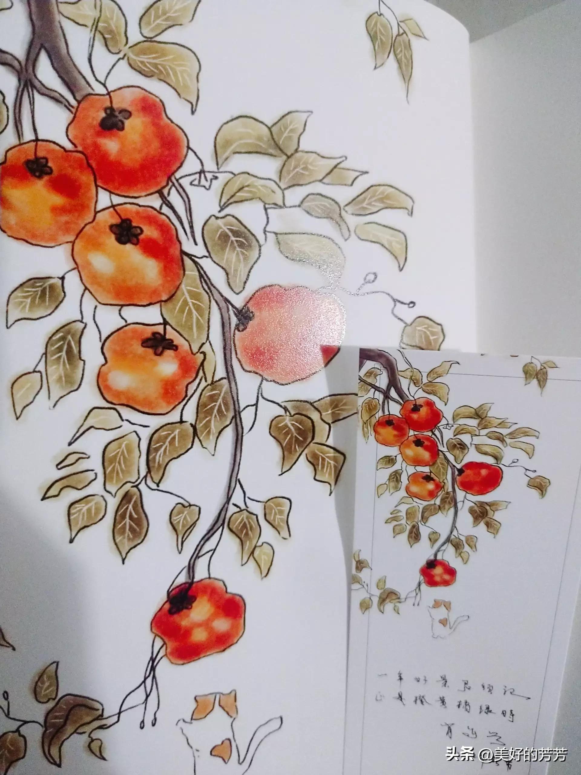 央视推荐的书,央视推荐的适合所有人看的书