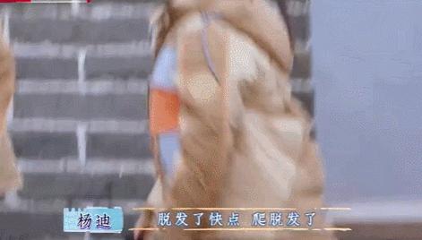 娱乐圈还有哪些假臀假肌肉,假臀假肌肉假肩膀的明星们