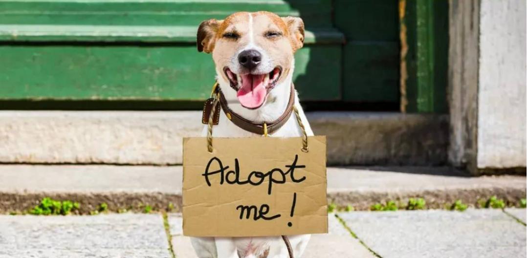 东营海创园,东营区海创园