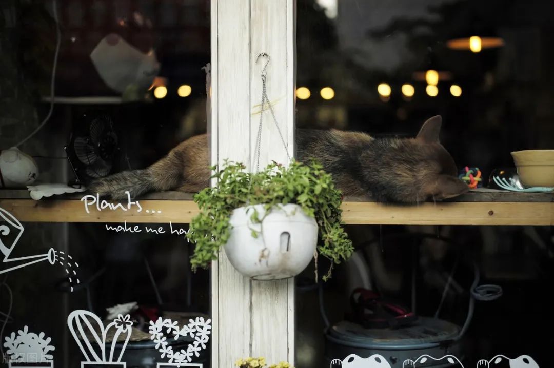 店铺如何装修才能吸引消费者,店铺怎么装修才能吸引人