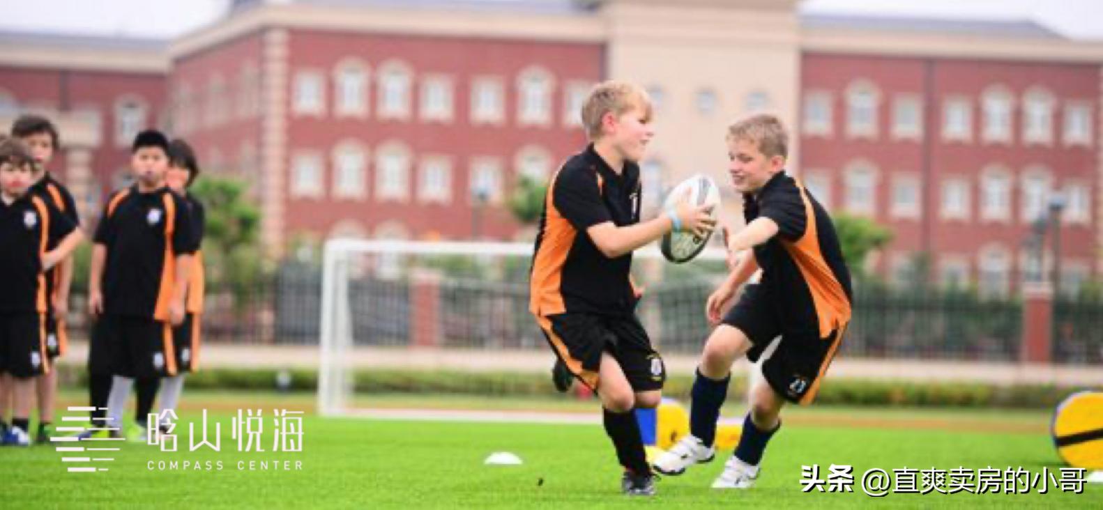 深圳市南山区初中入学积分合格线,深圳积分入学如何填报学校