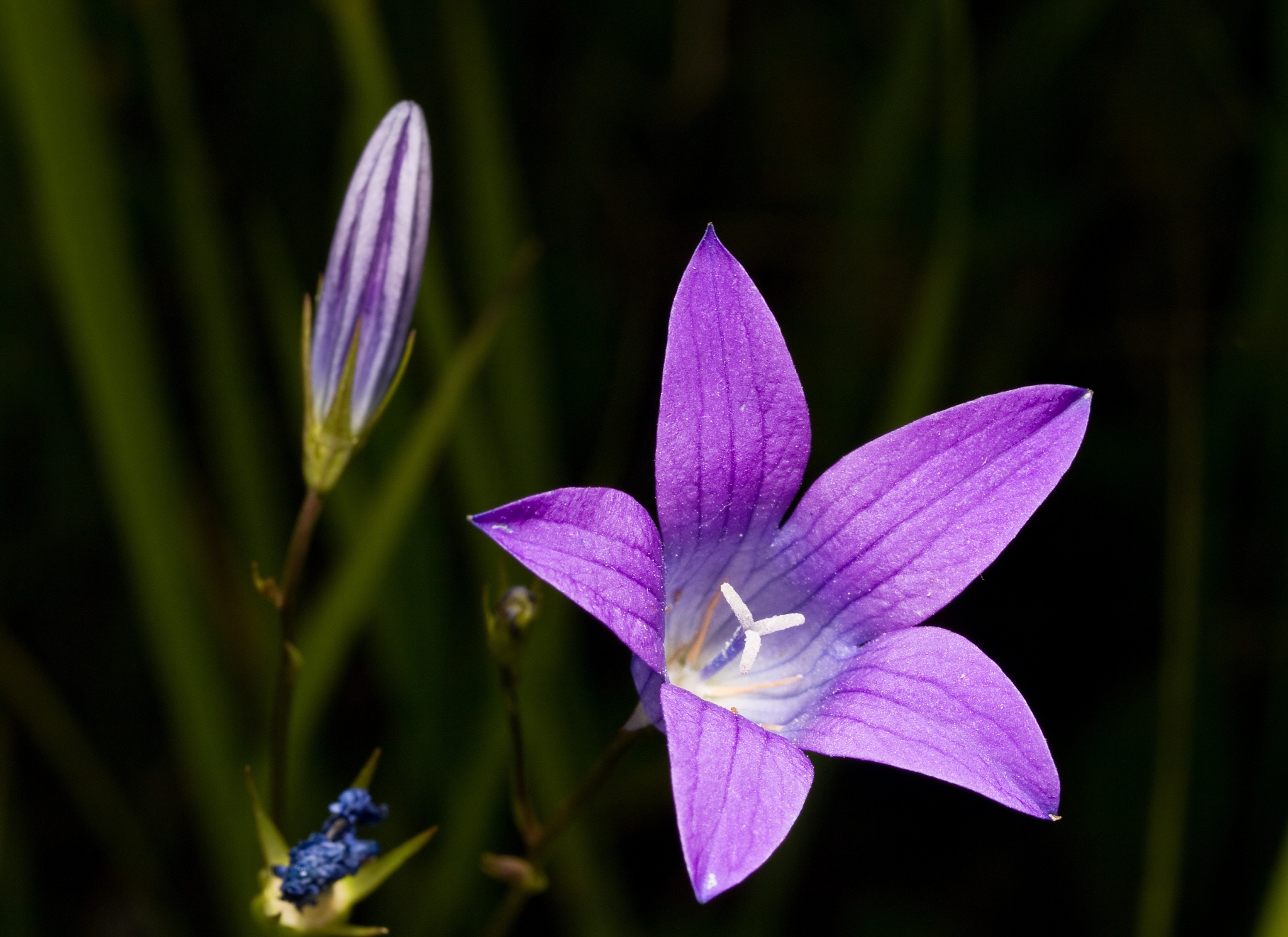 老婆强势男人怎么应对,婚后几年老婆特别强势