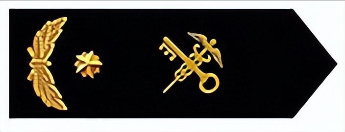 海关关衔图解,海关使用一年期关衔标志