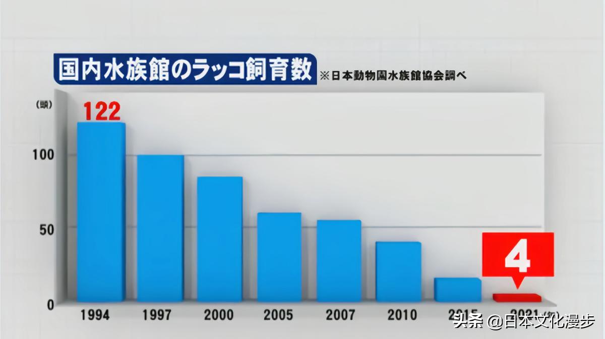 日本的特产动物是什么,日本特产真的吗