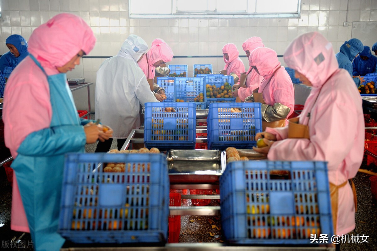 食品工厂装修效果图,食品厂车间装修有什么要求和标准