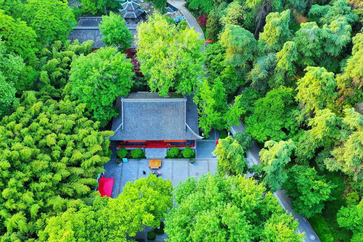 南京0门票逛景点攻略,南京旅游免费的必去的景点