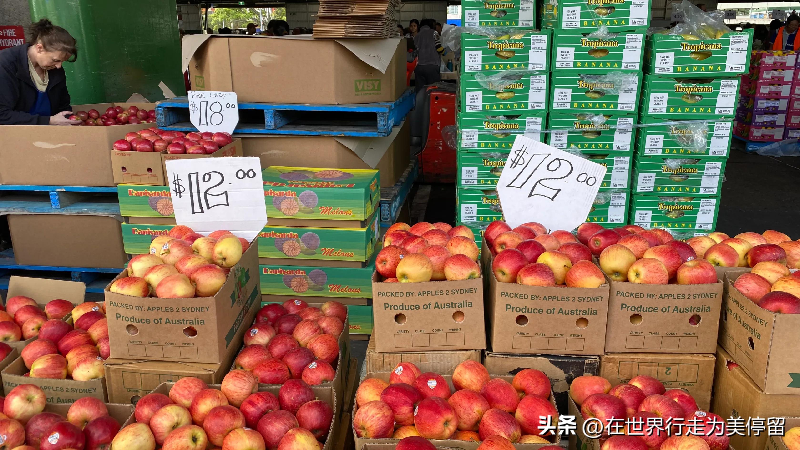 悉尼最大的蔬菜批发市场,悉尼蔬菜市场