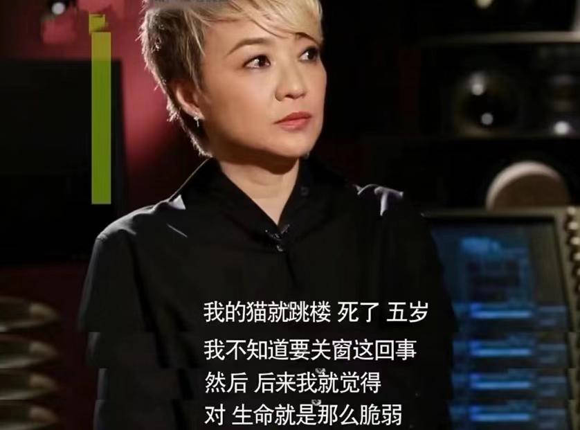 梅艳芳夕阳之歌和陈慧娴哪个更好,梅艳芳和陈慧娴同一首歌谁先发布