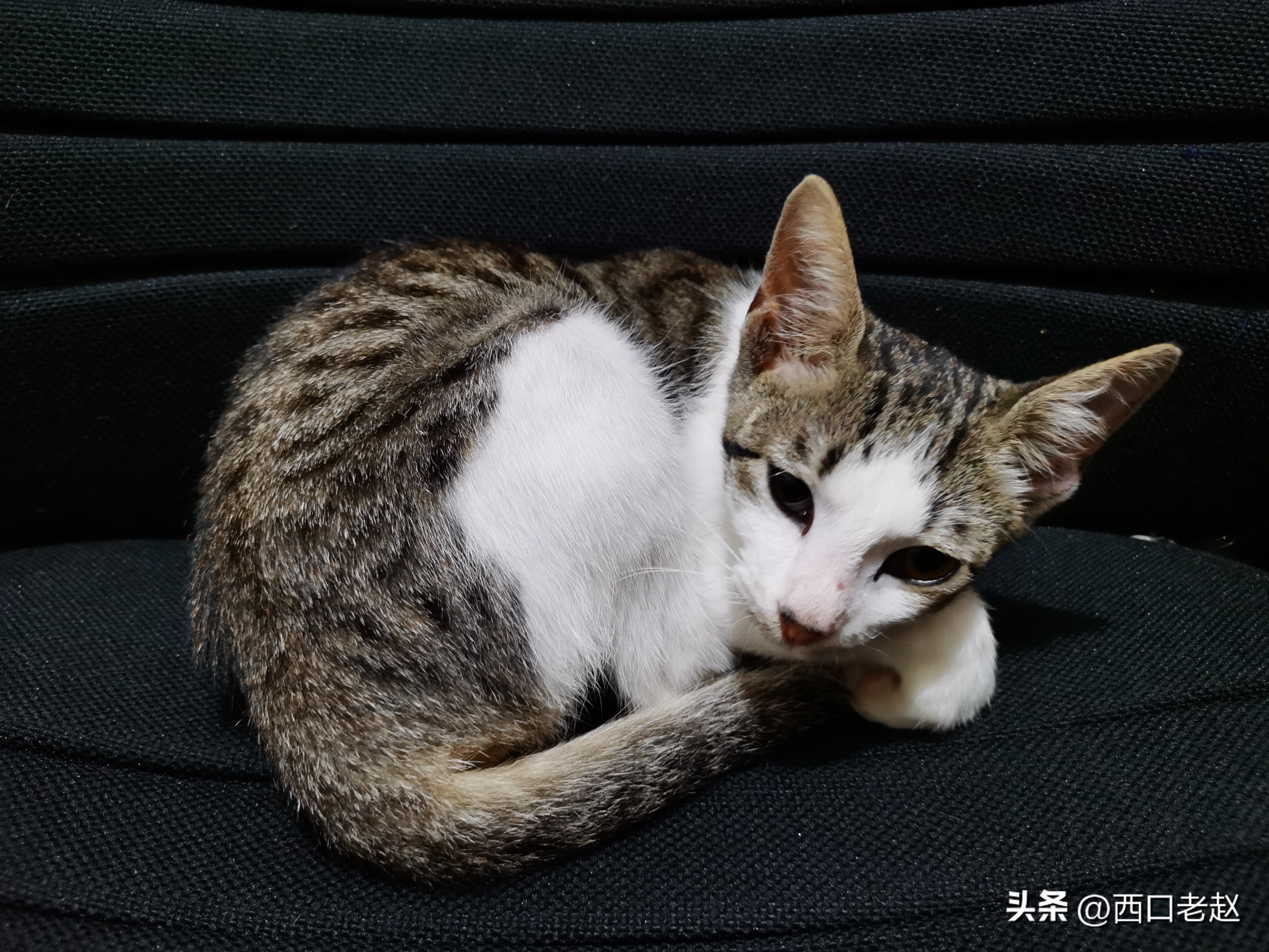 行走在国外的岁月33——致敬我的海外生涯