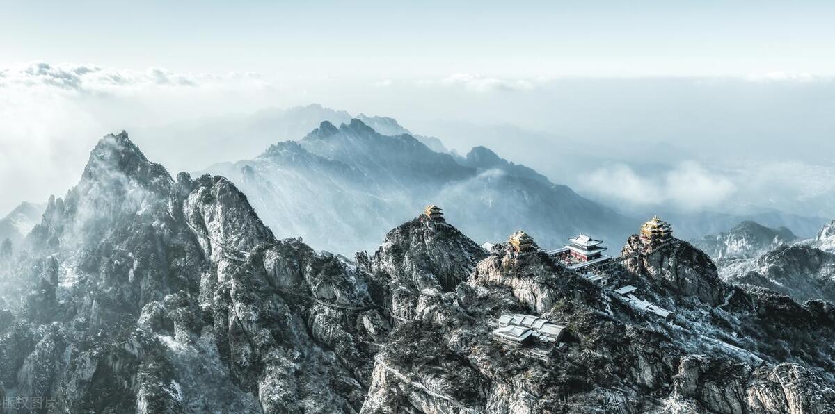 网络组织卖淫罪的立案与量刑标准,涉嫌组织卖淫罪的立案与量刑标准