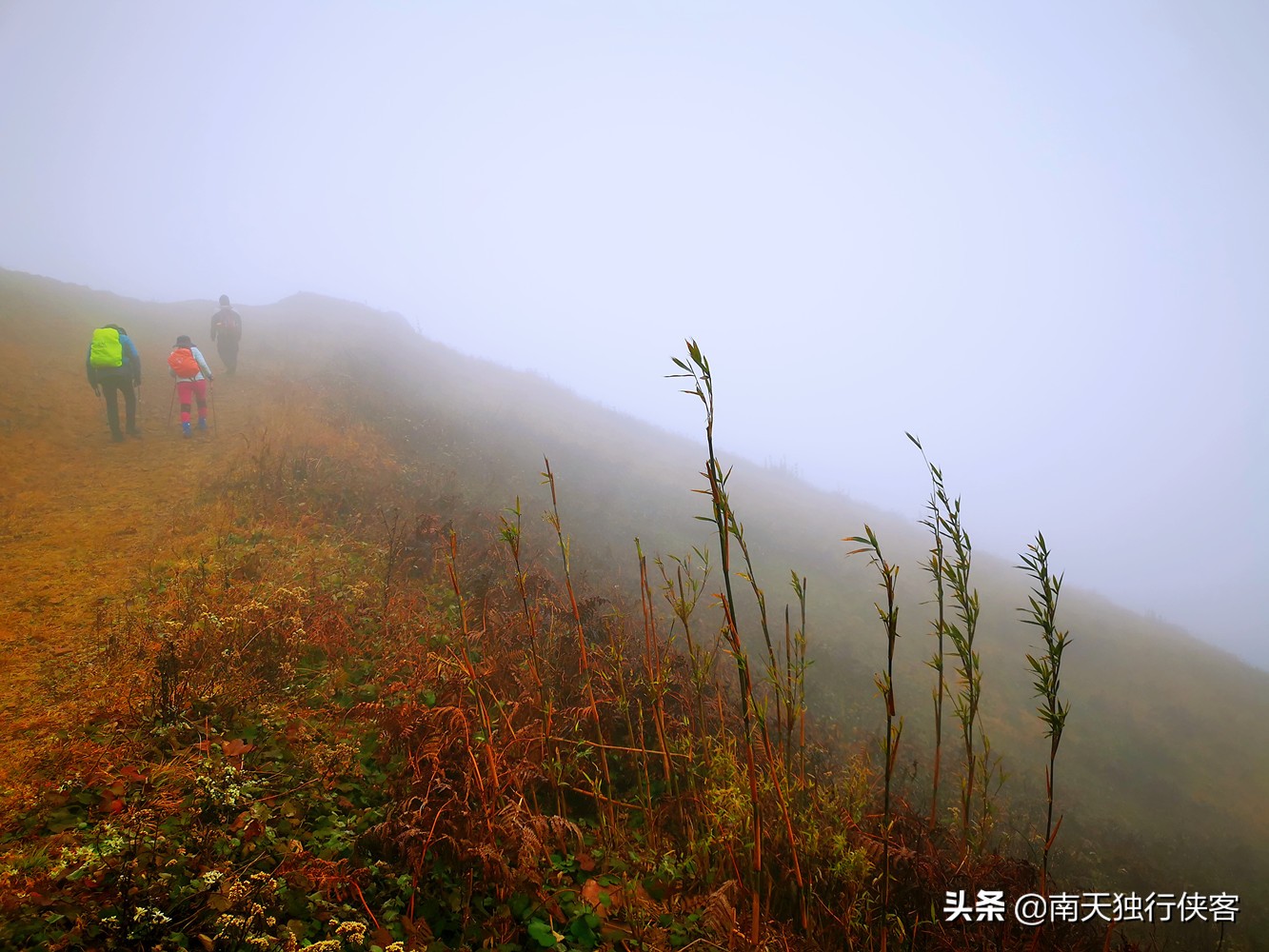 穿越时空美丽的云南,穿越迷雾丛林见美景