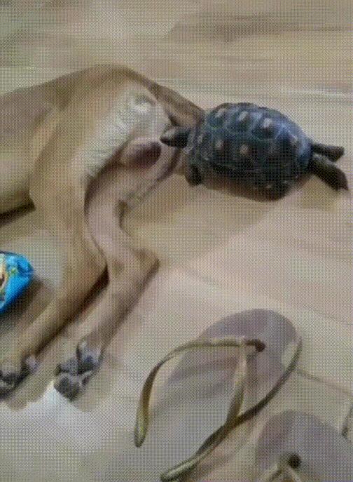 老婆包里发现了什么药,老婆包里发现这个药片