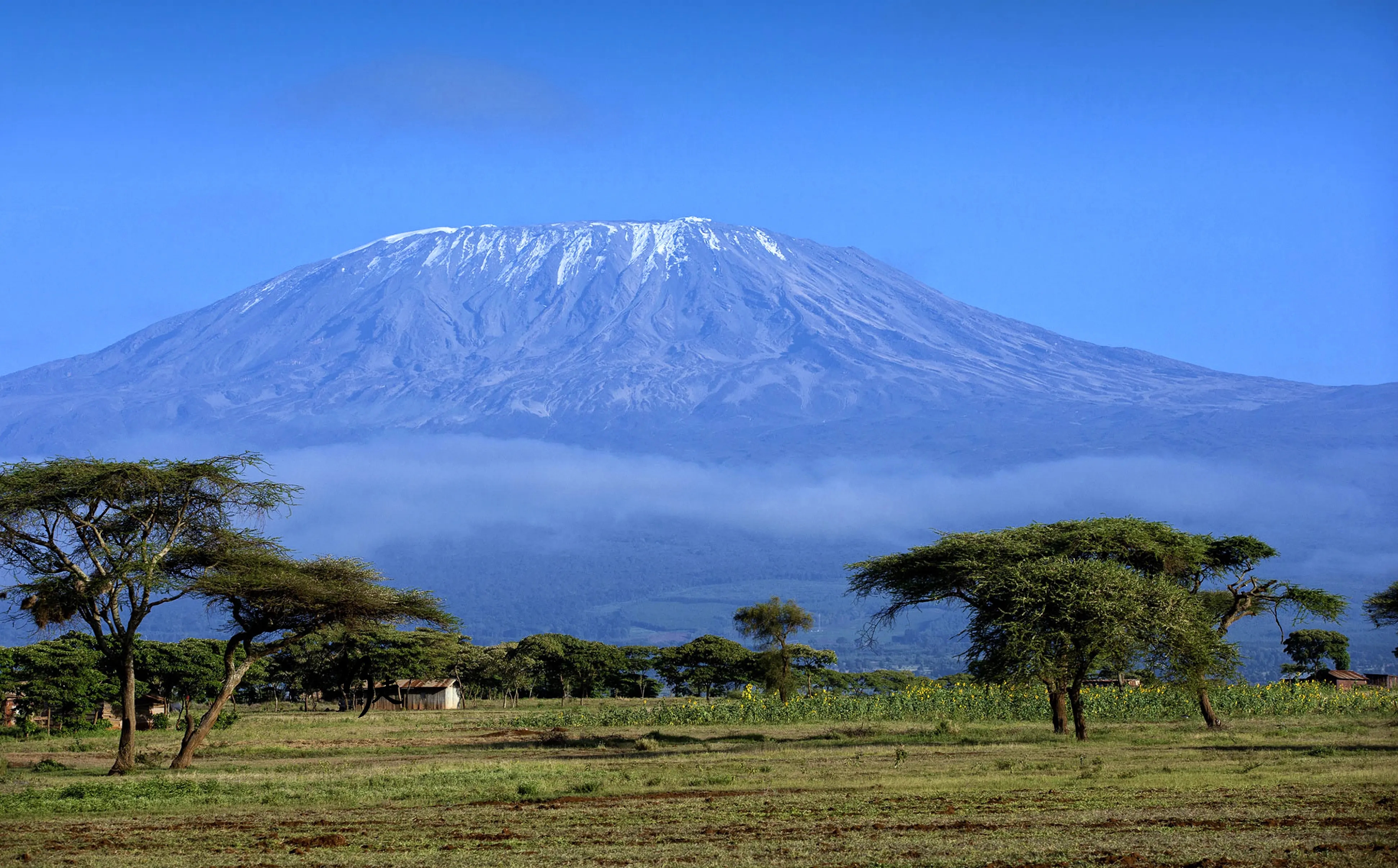 全球冰川分布图,全球各地方冰川集合