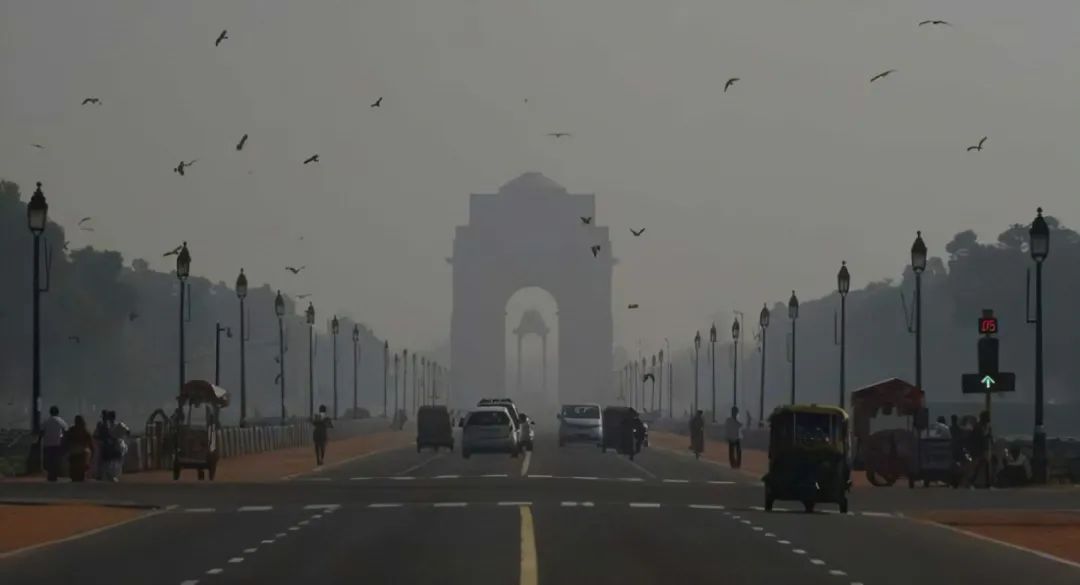 来来来，品品印度是真香还是多少带点臭