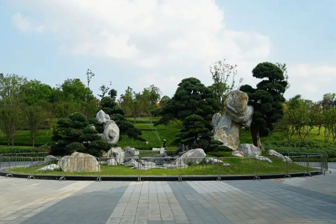 成都音乐森林公园,成都露天音乐公园儿童乐园