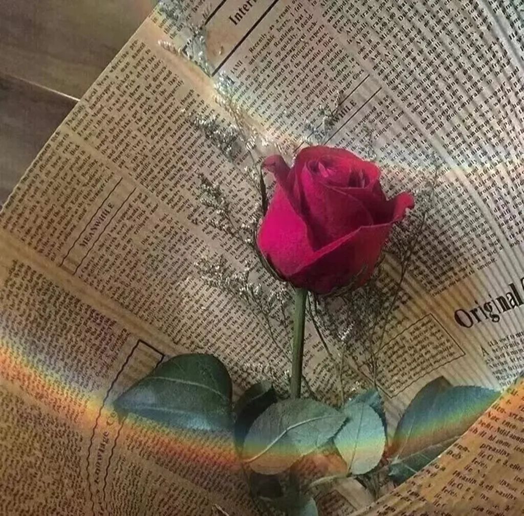 ins背景图治愈系文字,ins温柔治愈微信背景图