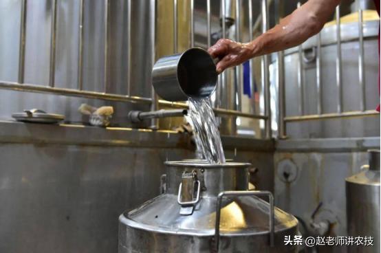 种高粱的利润有多少,高粱酿酒100斤高粱出多少酒