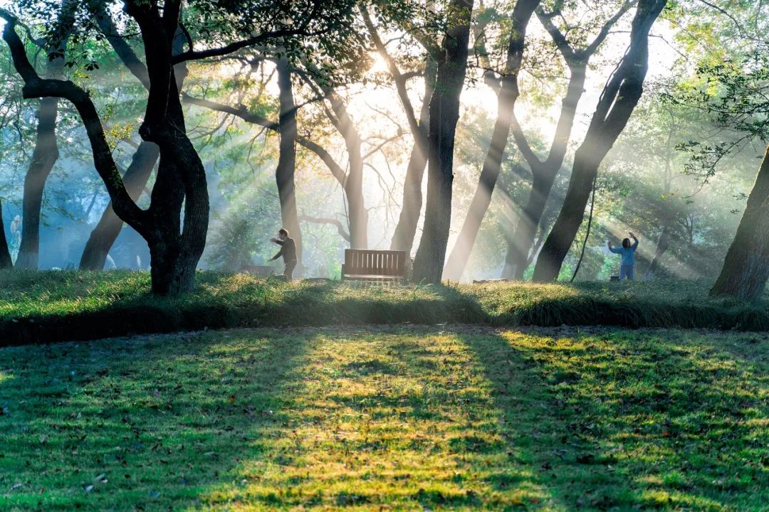 鍝佽瀹朵埂浼犵粺鏂囧寲,鍝佽瀹朵埂