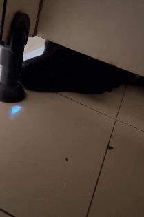 女厕的诡异事件,诡异女厕