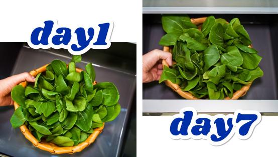 美的冰箱527微晶优缺点,美的微晶冰箱哪款性价比高