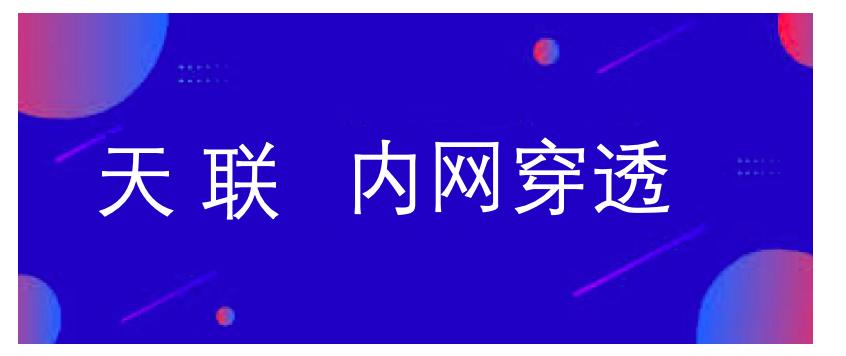 内网穿透原理是什么意思,内网穿透服务器什么原理