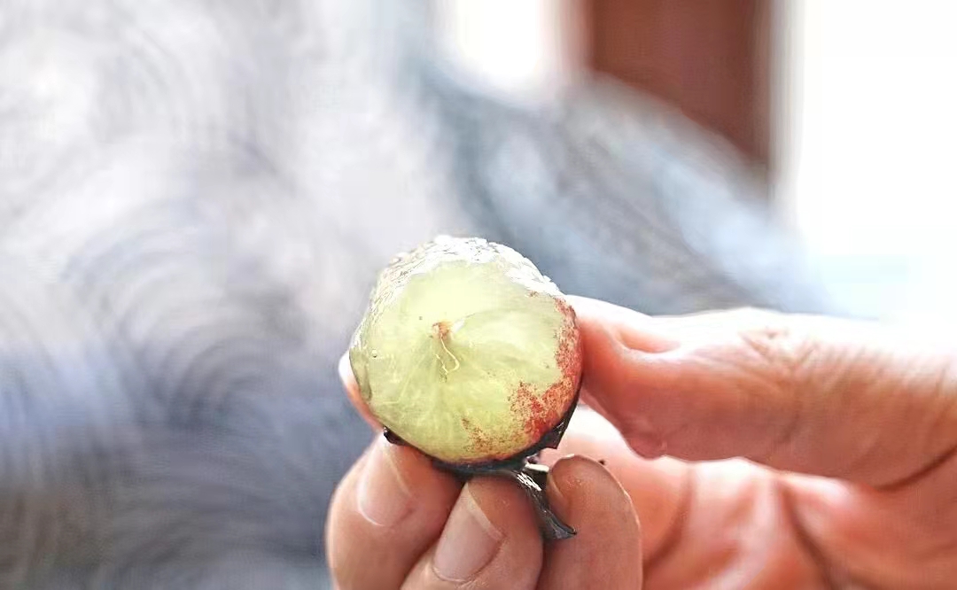 可以长期喝的水果茶 (泡出来的水果茶)