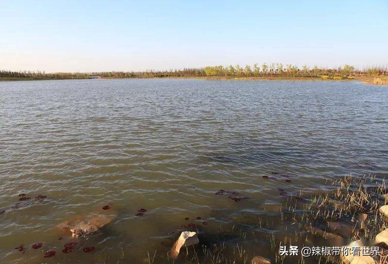 盐城最大的海边城市,盐城海岸线为何一直延伸