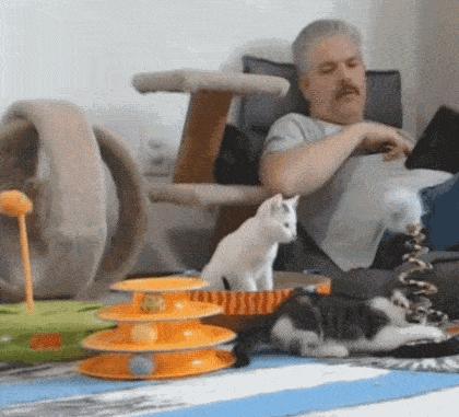 神回复够肉了吗,神回复年龄问题