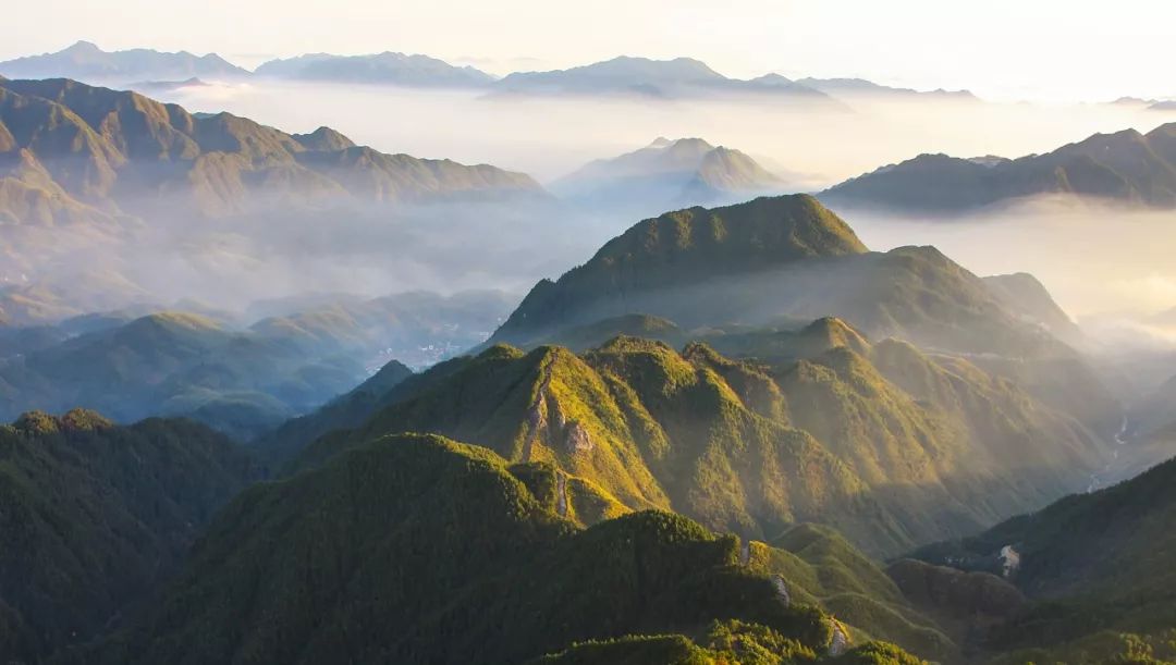 亲近春天，爬山正当时！温州这些绝美山峰快快约起！