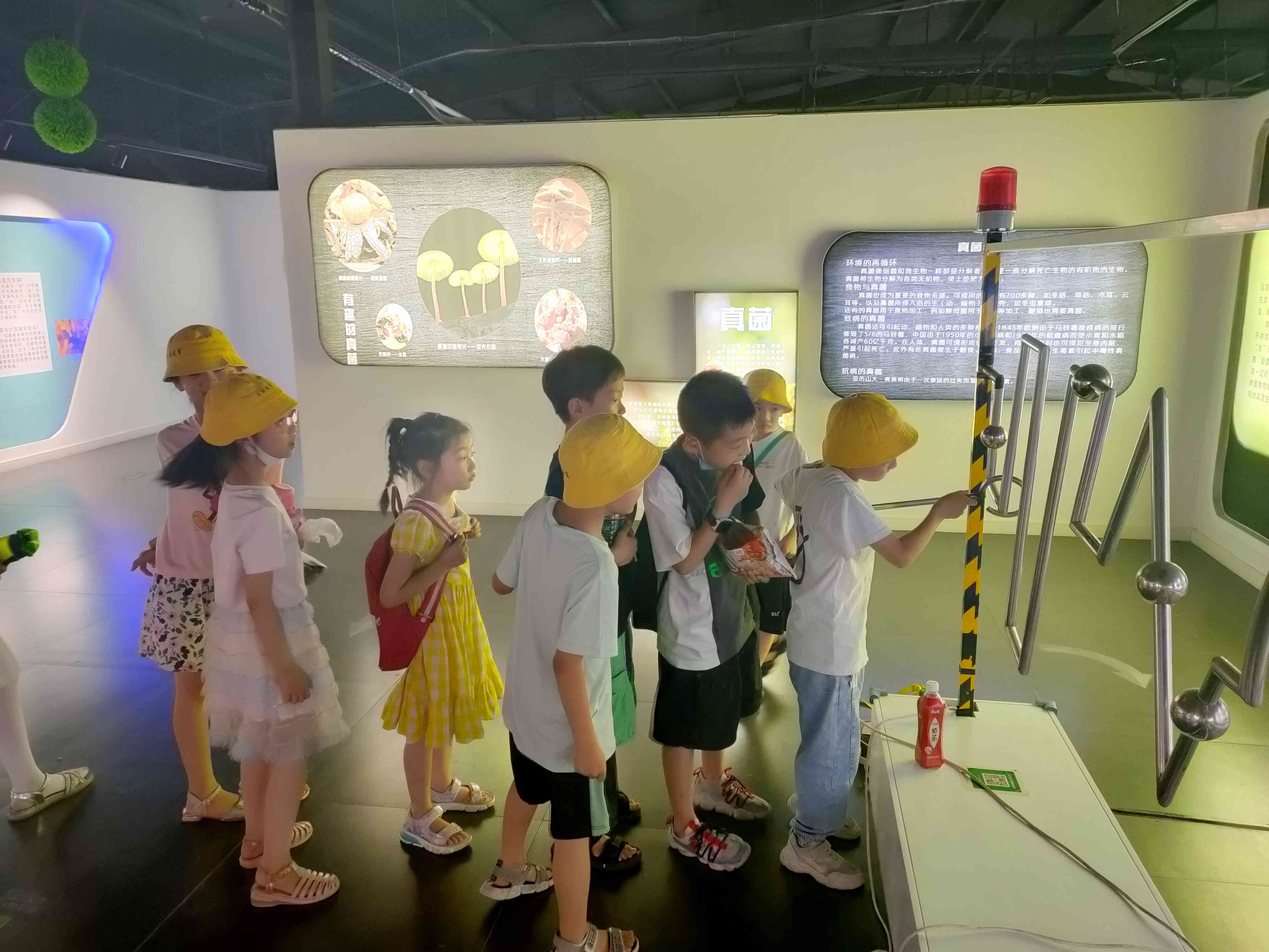 郑州人体科学馆要门票吗,郑州适合带孩子玩的博物馆科技馆