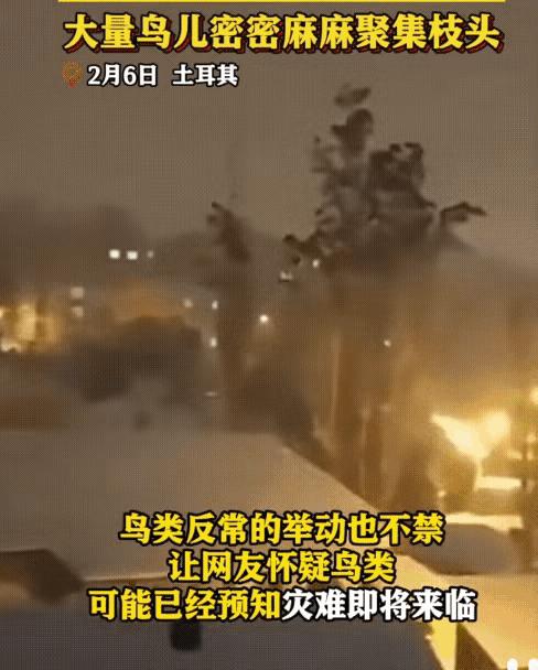 大地震惨烈如核爆炸! “恶魔之眼”也为废墟下的人性光辉而泪目