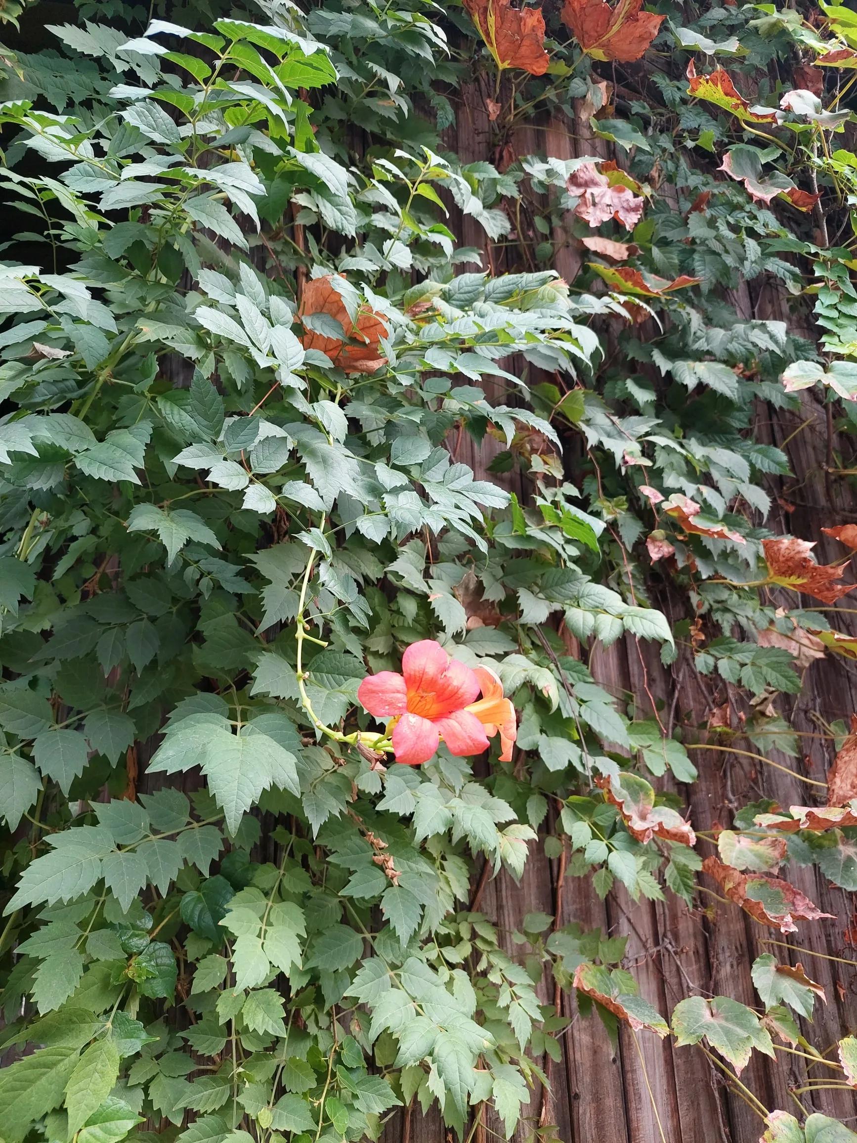 猪八戒职场生存法则,猪八戒的职场智慧