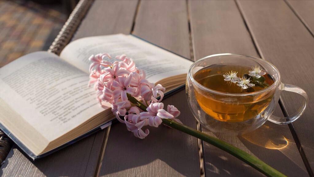 夏天很热可以试试喝这些养生茶,4月份潮湿重容易上火喝什么茶好