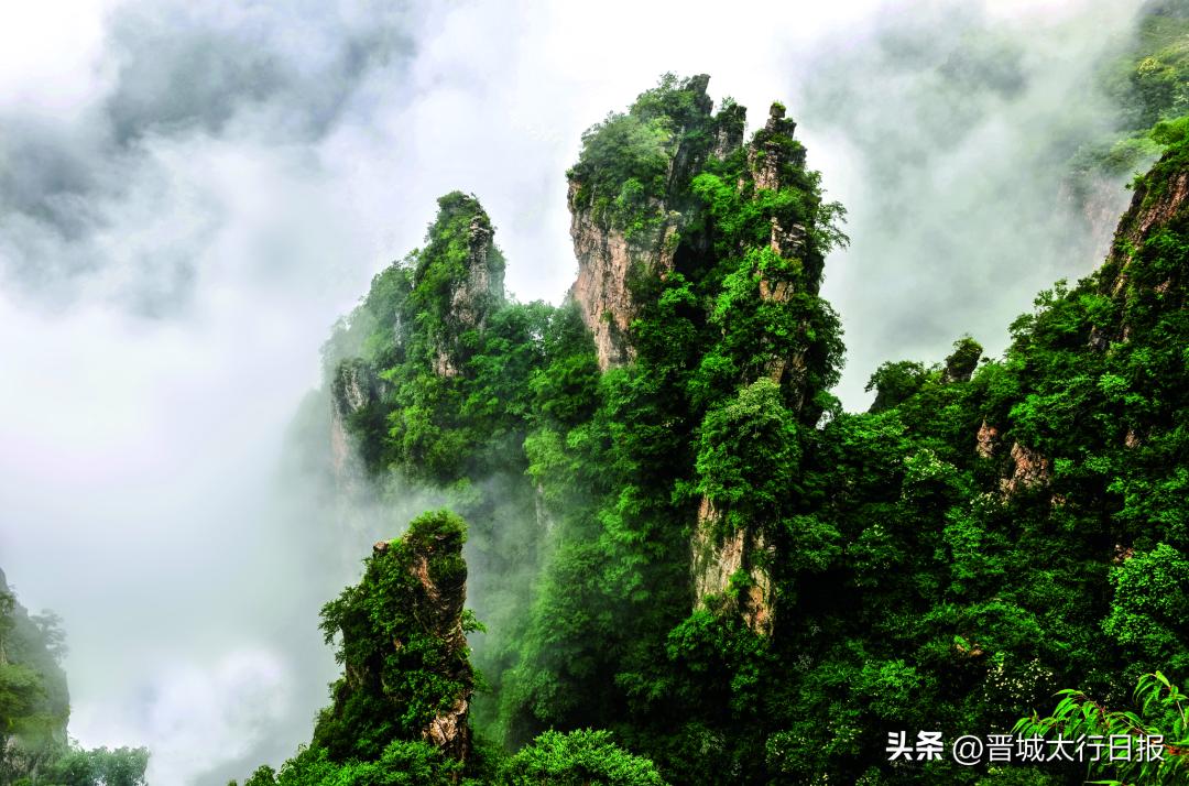 晋城这些地方藏着清凉一夏,晋城享清凉活力一夏