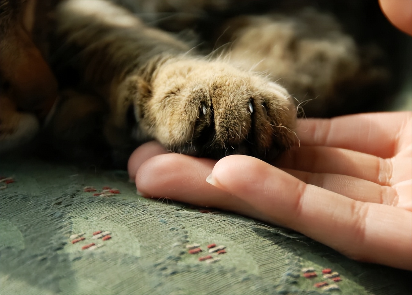 腋窝有个疙瘩是不是艾滋病,腋窝下有疙瘩是艾滋病吗