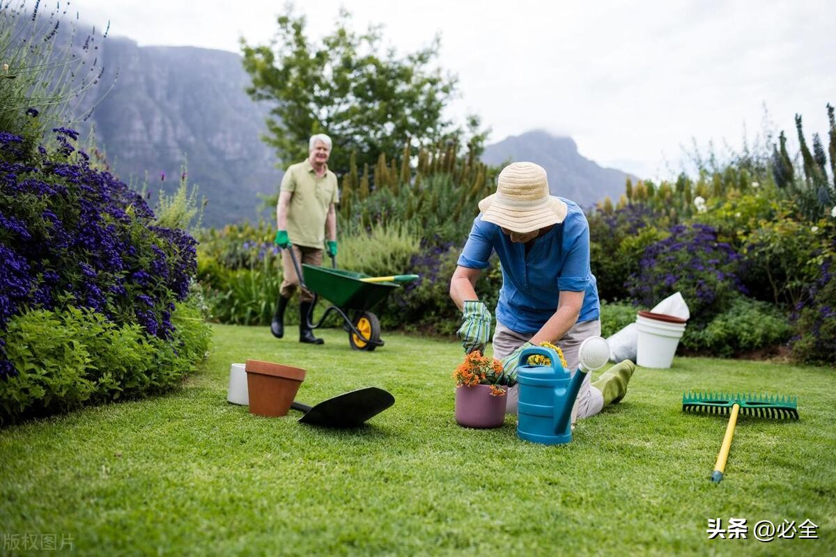 园林草坪选择,草坪园林景观的介绍