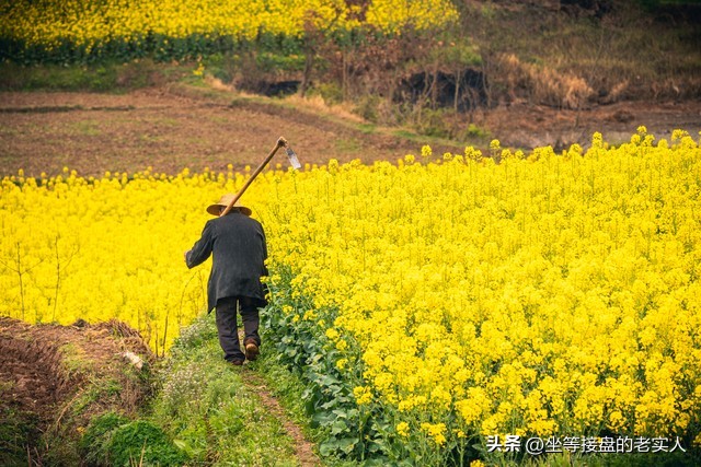 村里引进了一个小工厂，60多岁的大爷大妈笑开了花，月薪达3000元