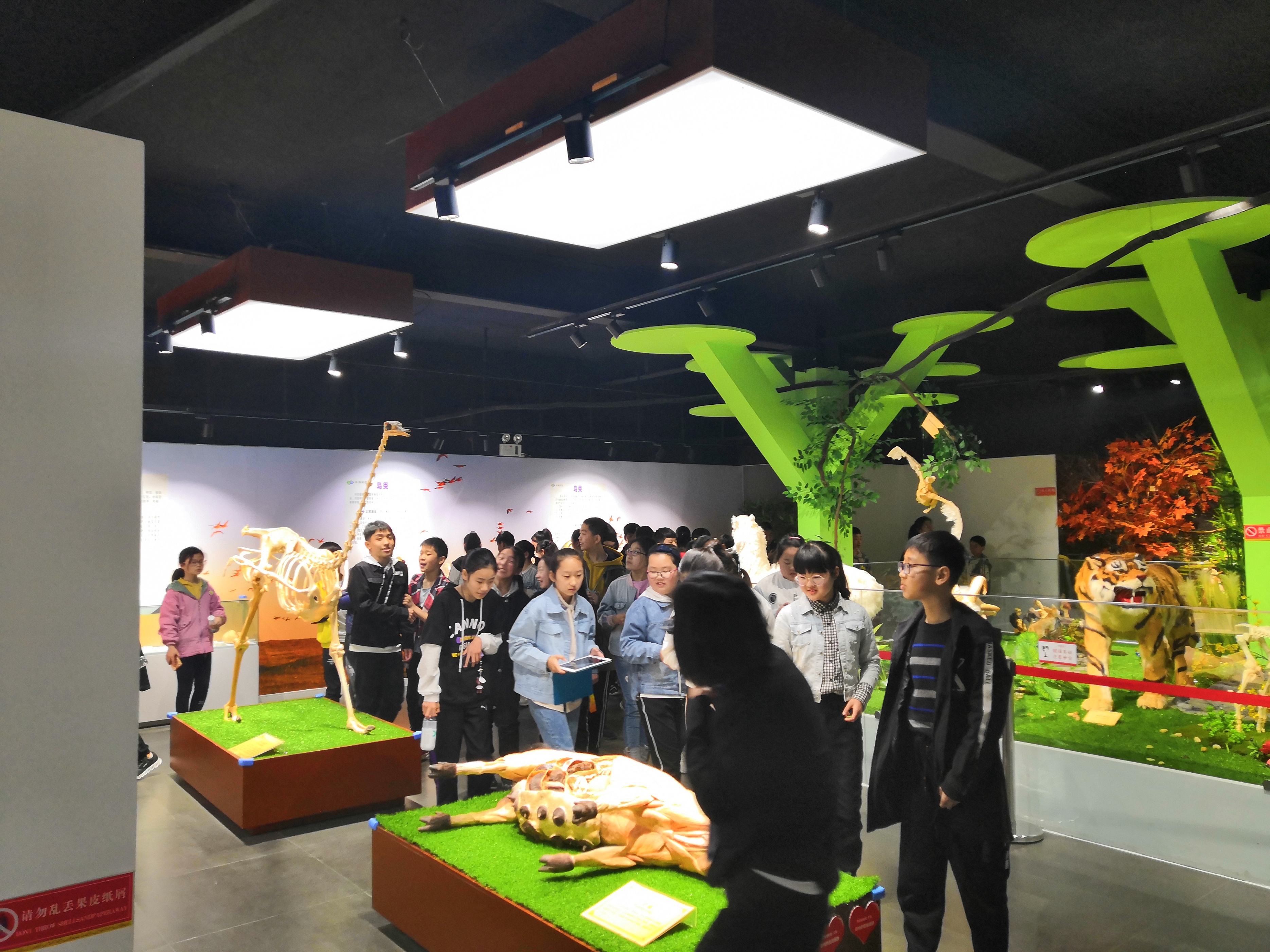 郑州周边免费遛娃的地方,郑州周边遛娃好玩的地方推荐