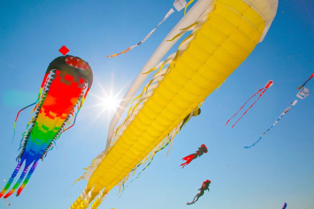 潍坊宝藏打卡地,潍坊旅游打卡必须去的地方