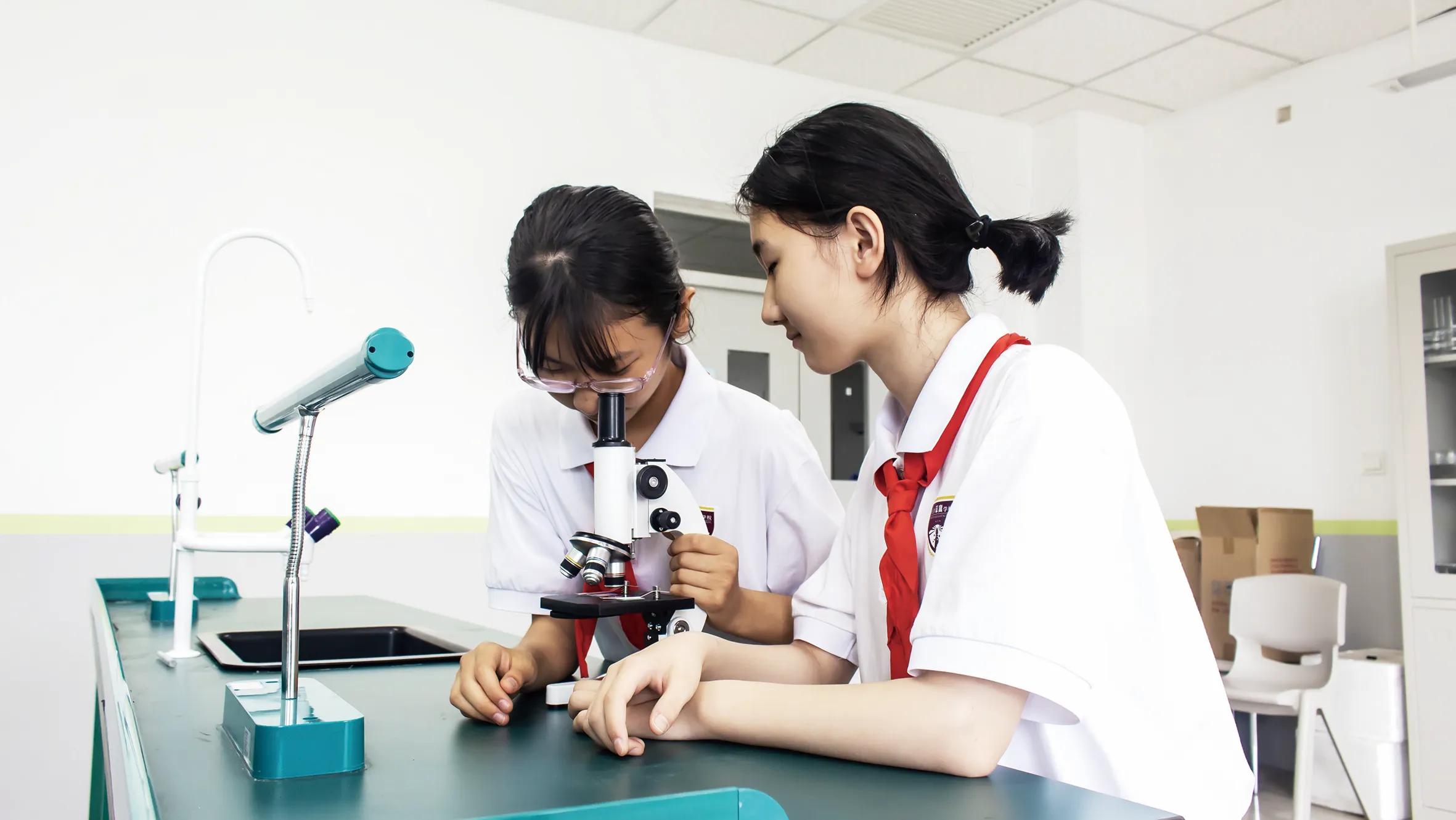 天津市河西区华星学校：五育并举智创未来