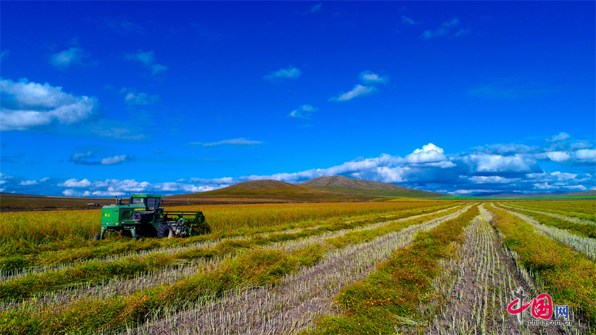 “全国肉牛产业第一重镇”如何建？邢界红代表为通辽代言