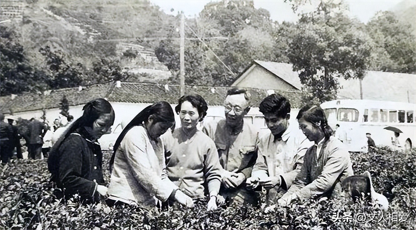 溥仪下井冈山视频,溥仪访日诗