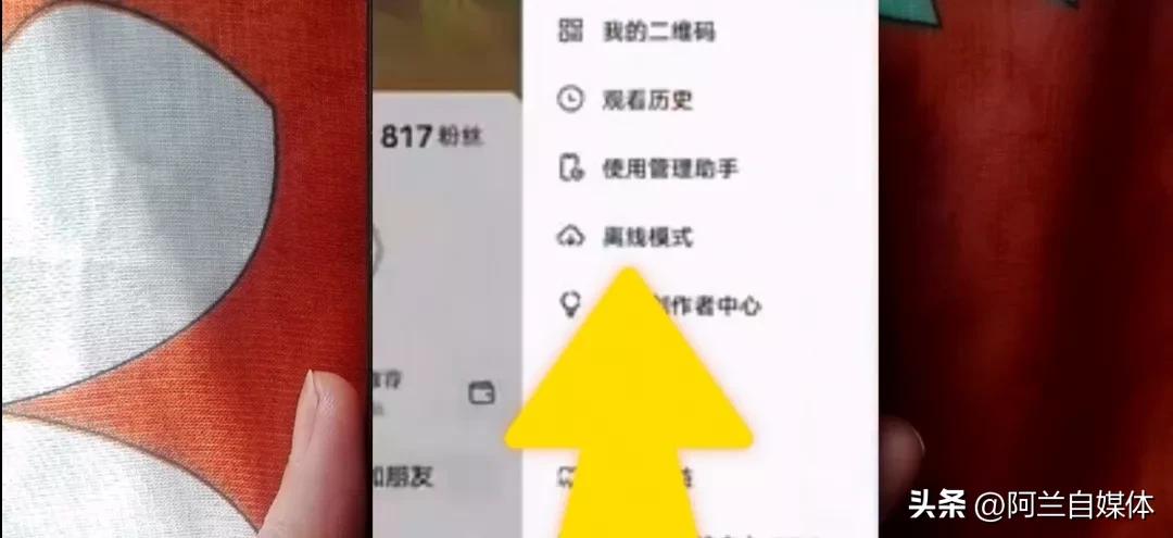 手机有网络但无法上网也可刷抖音,手机无线网可以刷抖音却无法上网