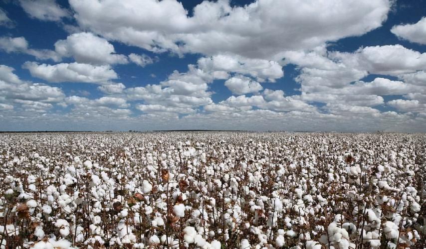 中国对耐克态度,吃饭砸锅的下场