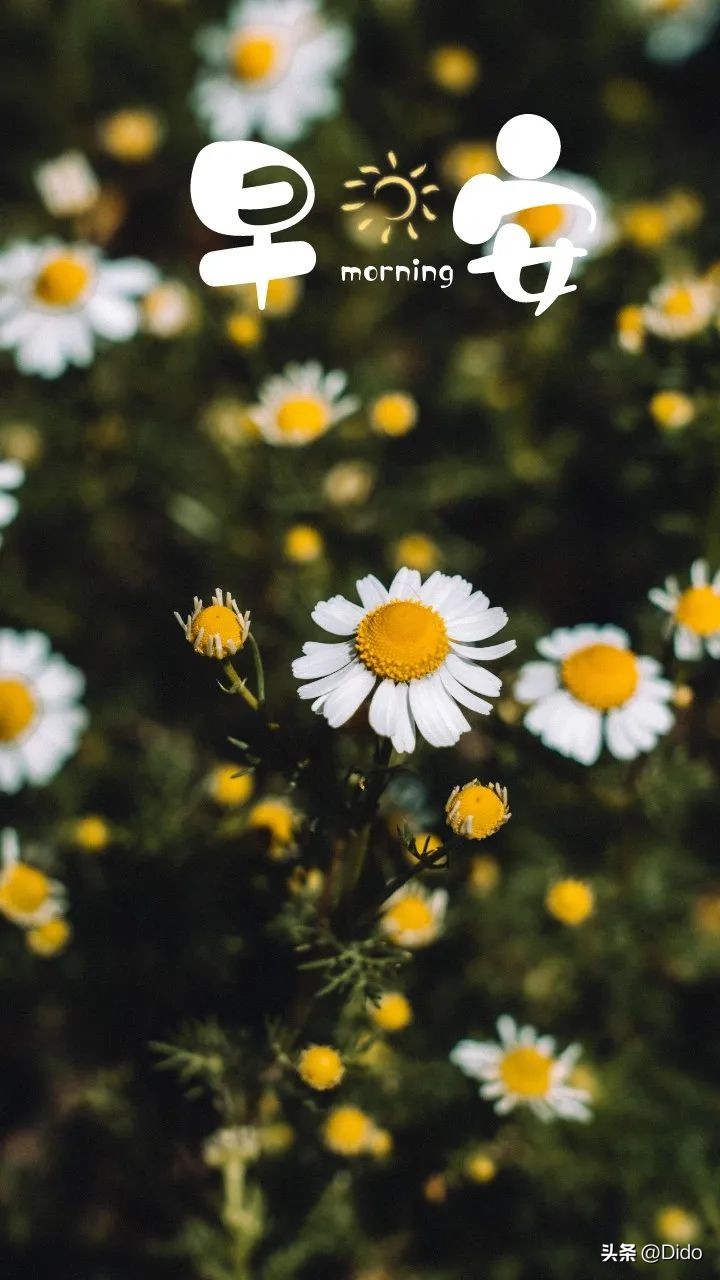 黎明将至抬头尽是朝阳什么意思,已知黎明将至抬头尽是朝阳含义