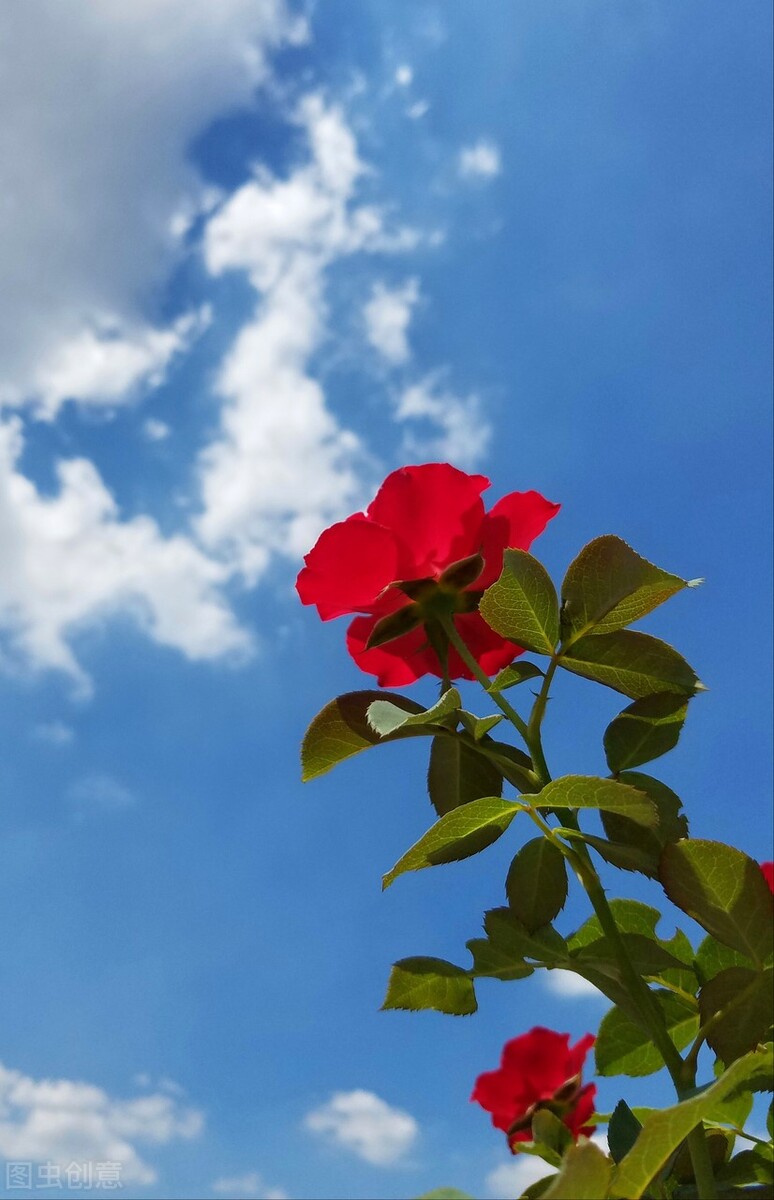 保持好身材的30个小妙招,保持苗条身材的四个小绝招