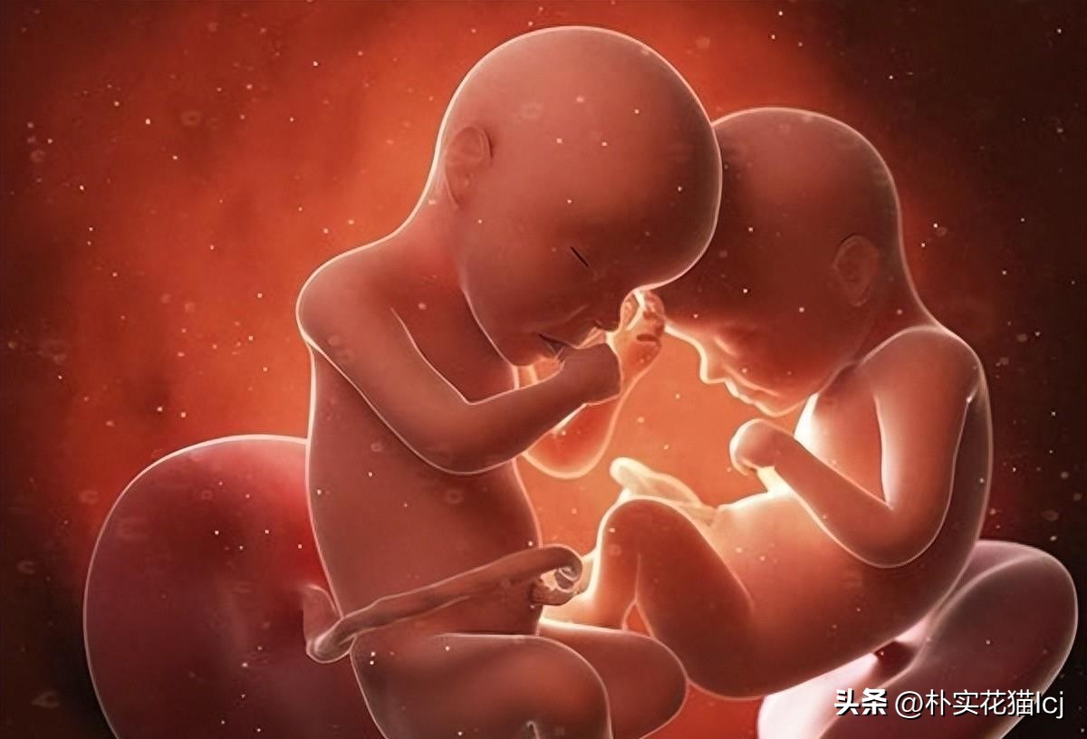 精子受孕未成功后去哪了,没有成功受孕的精子都去哪里了