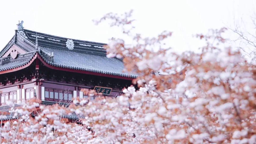 春风吹暖就业季绽放民生幸福花,春暖花开经济