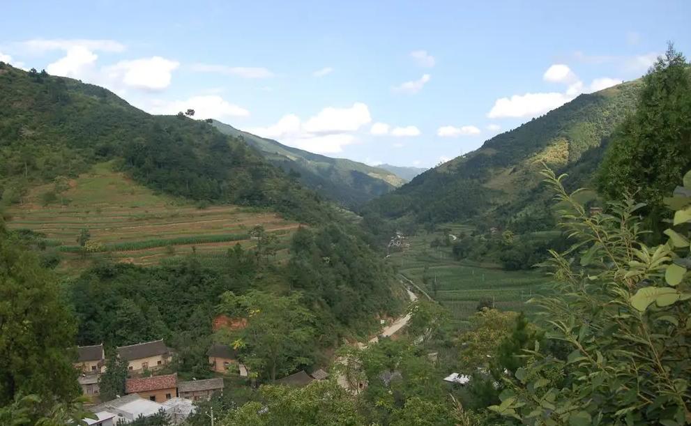 西安事变后，张学良向周恩来提出：能否派徐老虎帮我们