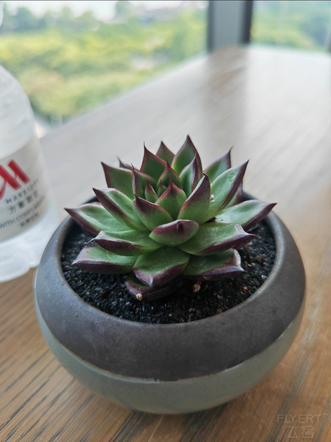 湖景套，单台盆，小浴缸，中式园林度假酒店—无锡蠡湖万豪